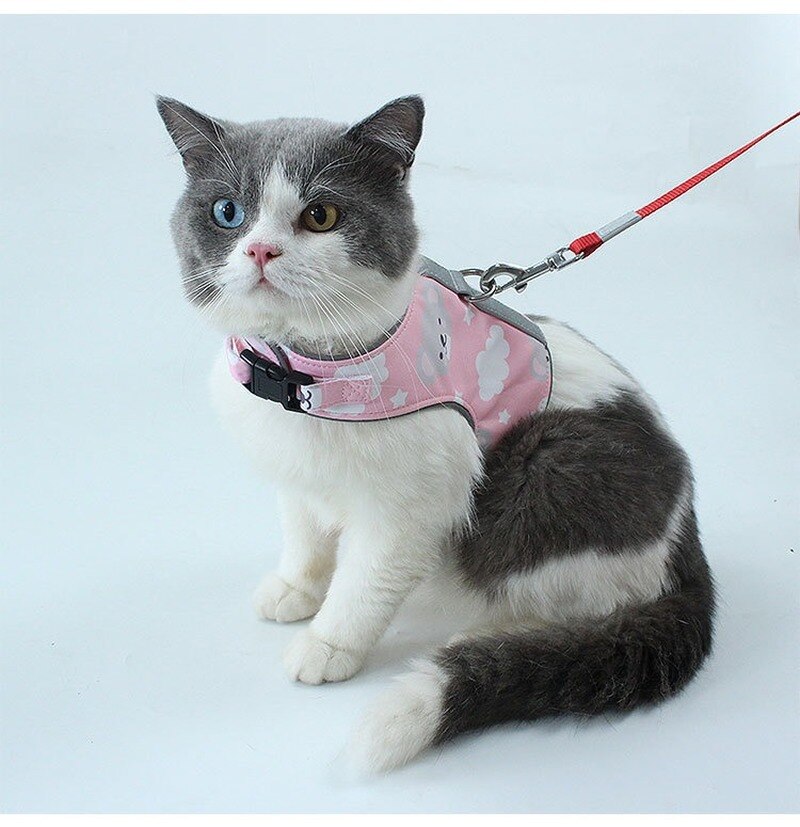 The Adventure - Breathable Cat Harness & Leash Set